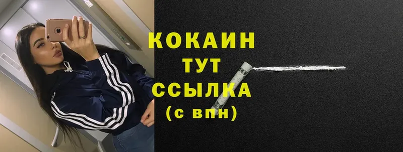 купить  цена  mega ссылки  Cocaine Перу  Железногорск 